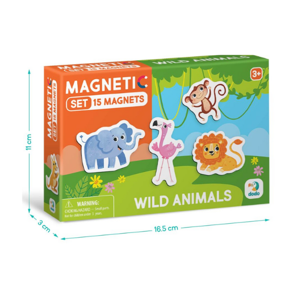 Joc magnetic 
