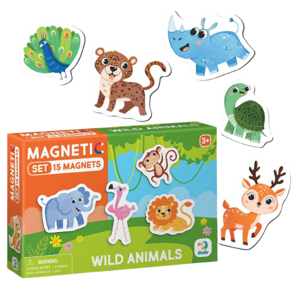 Joc magnetic 