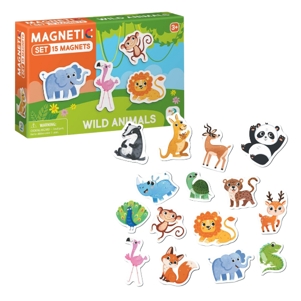 Joc magnetic 