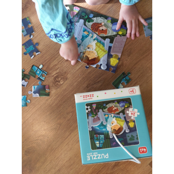 Puzzle 4 în 1 