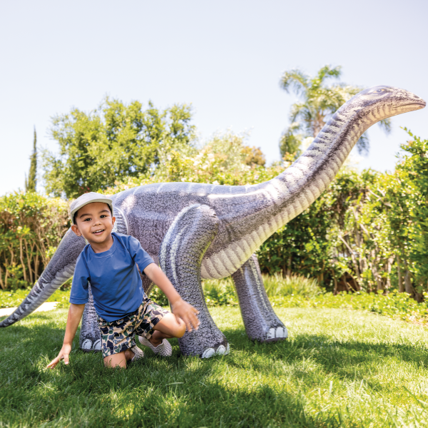 INTEX Triceratops și Brontosaurus gonflabil, 2 modele