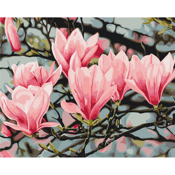 Pictură pe numere 40×50 (în cutie) – Floarea magnoliei, Anastasiia Osmolovskaia