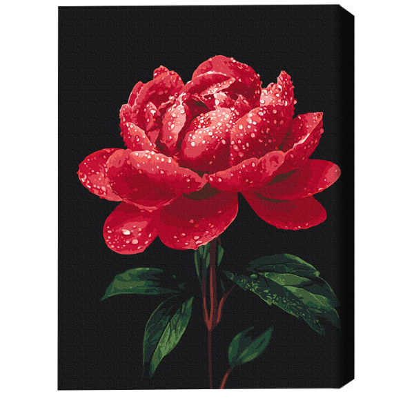 Cumpara  Creativitate/Logică - Pictură pe numere 40×50 (în cutie) – Bujori î..