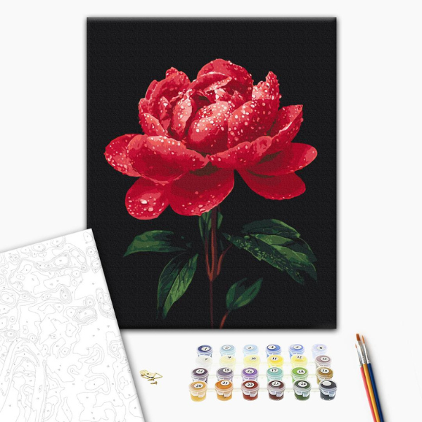 Pictură pe numere 40×50 (în cutie) – Bujori în strălucirea rouăi