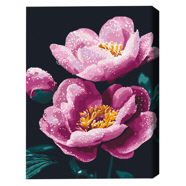 Cumpara  Creativitate/Logică - Pictură pe numere 40×50 (în cutie) – Proaspăt..