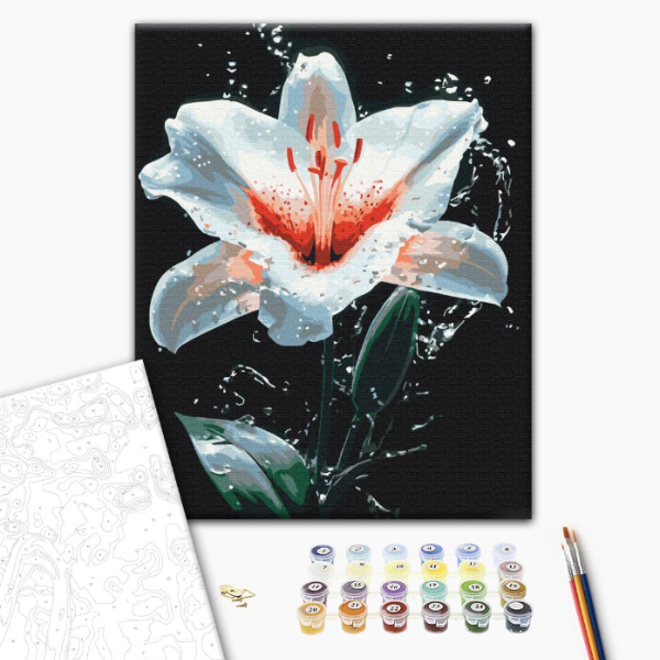 Pictură pe numere 40х50 cm (fără cutie) – Strălucirea crinului