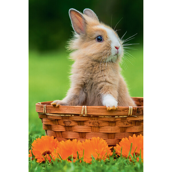 Puzzle 54 mini - Animale drăguțe