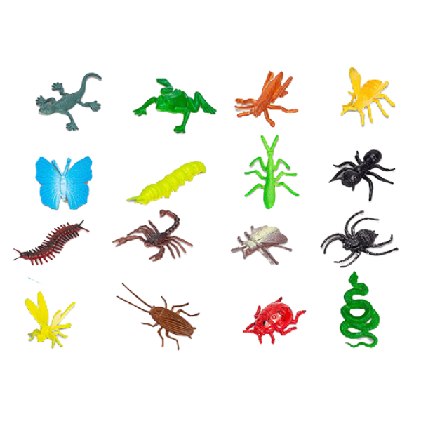 Insecte, 16 modele