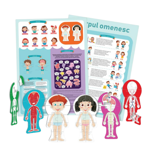 Puzzle ”Corpul omenesc”, 60 elem. (ro)