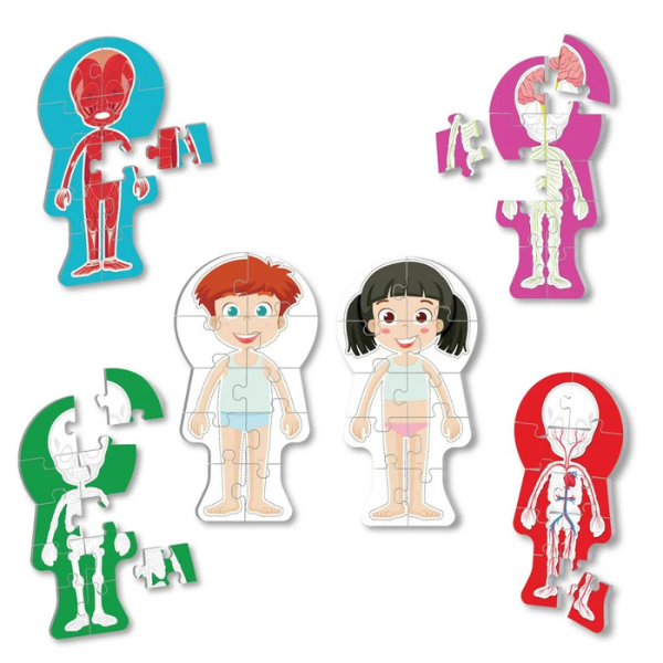 Puzzle ”Corpul omenesc”, 60 elem. (ro)