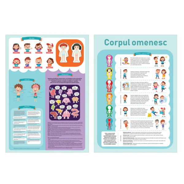 Puzzle ”Corpul omenesc”, 60 elem. (ro)