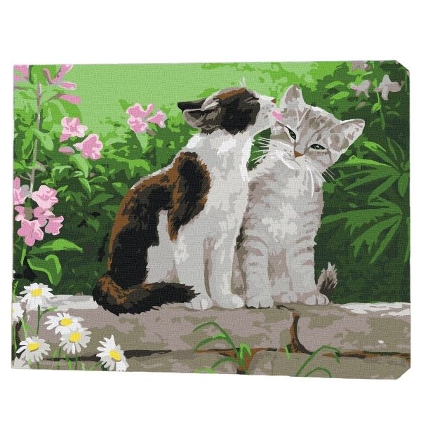 Картина по номерам 30*40 см (без упаковки) - Пара котят