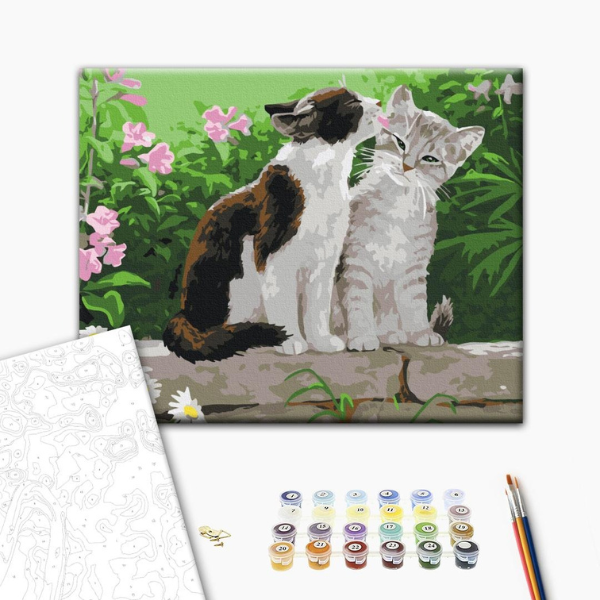 Картина по номерам 30*40 см (без упаковки) - Пара котят