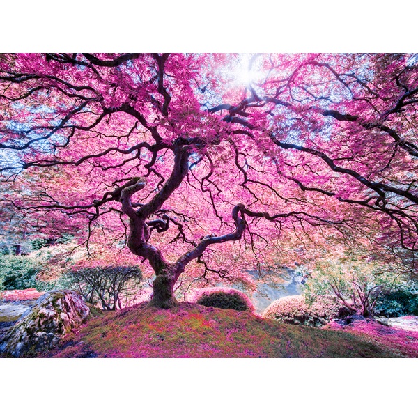 Puzzle 1000 elemente Copac roz