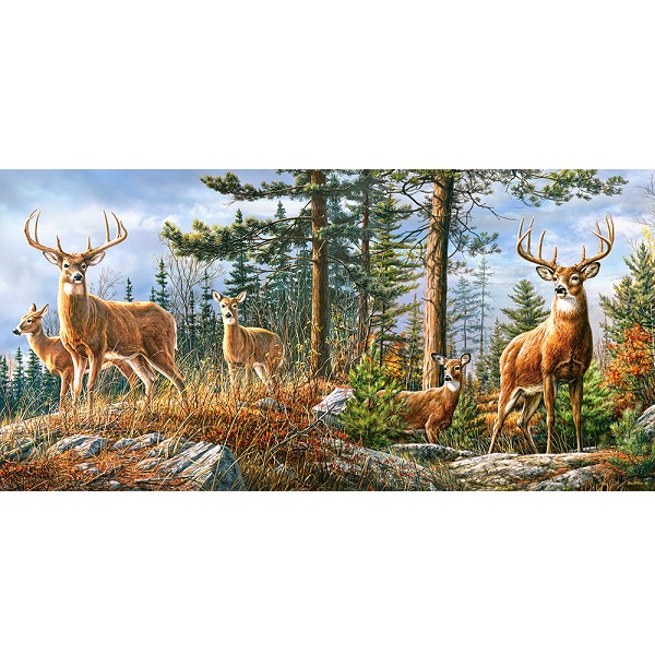 Puzzle 4000 elemente