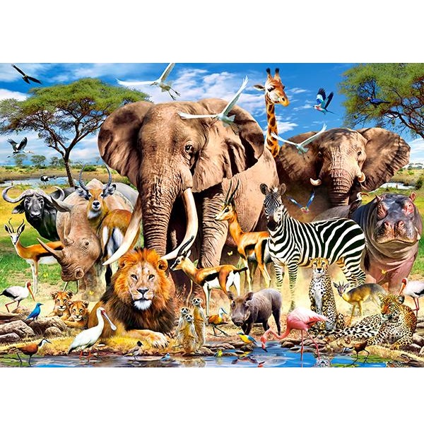 Puzzle 260 elemente