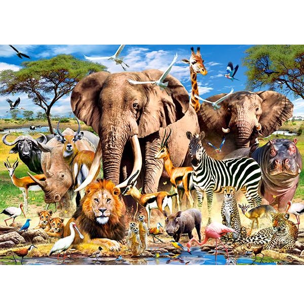 Puzzle 200 elemente
