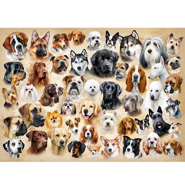 Puzzle 200 elemente