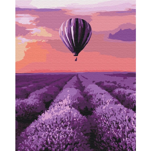 Cumpara  Creativitate/Logică - Pictură pe numere 40*50 сm (în cutie) -Balon ..
