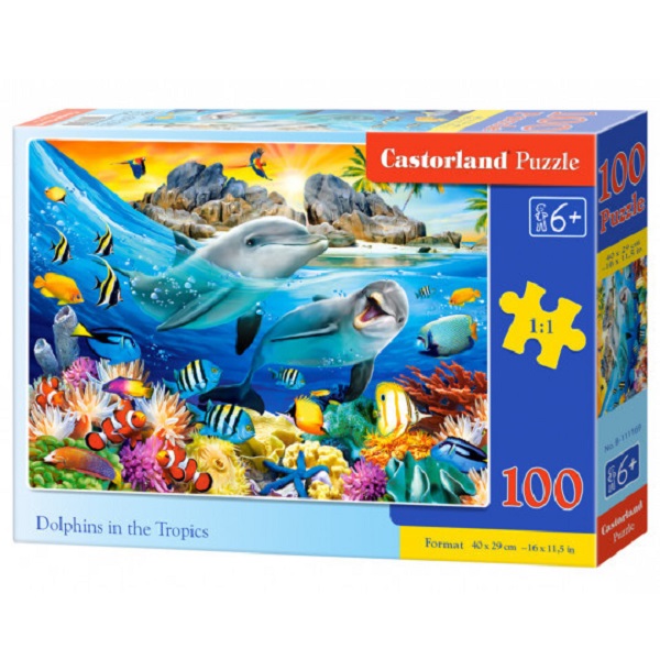 Puzzle 100 elemente