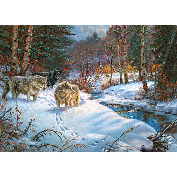Puzzle 1000 elemente Valea umbrei