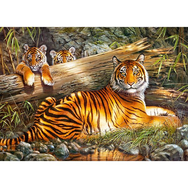 Puzzle 1000 elemente Foc liniștit