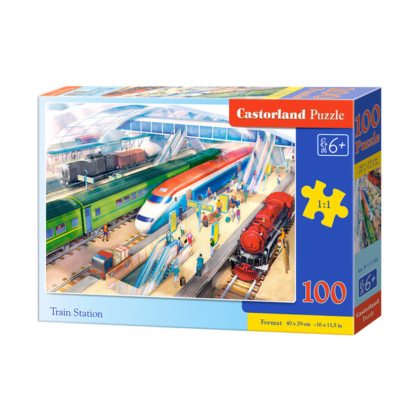 Puzzle 100 elemente