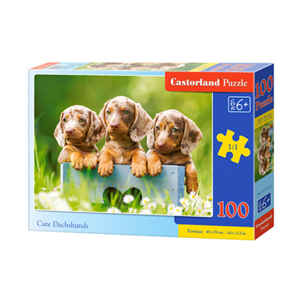 Puzzle 100 elemente