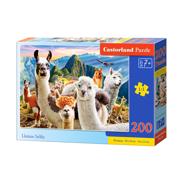 Puzzle 200 elemente