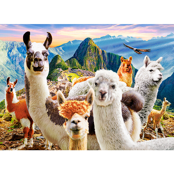 Puzzle 200 elemente