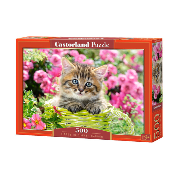 Puzzle 500 elemente