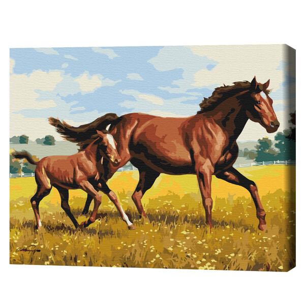 Cumpara  Creativitate/Logică - Pictură pe numere 40*50 cm (în cutie) – Galop..