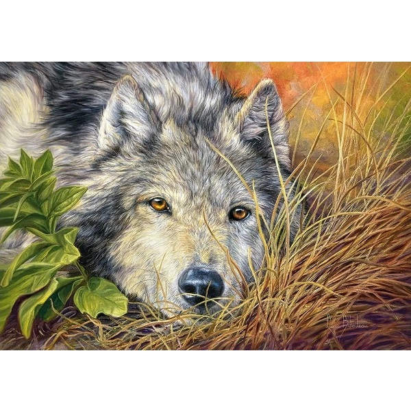 Puzzle 500 elemente