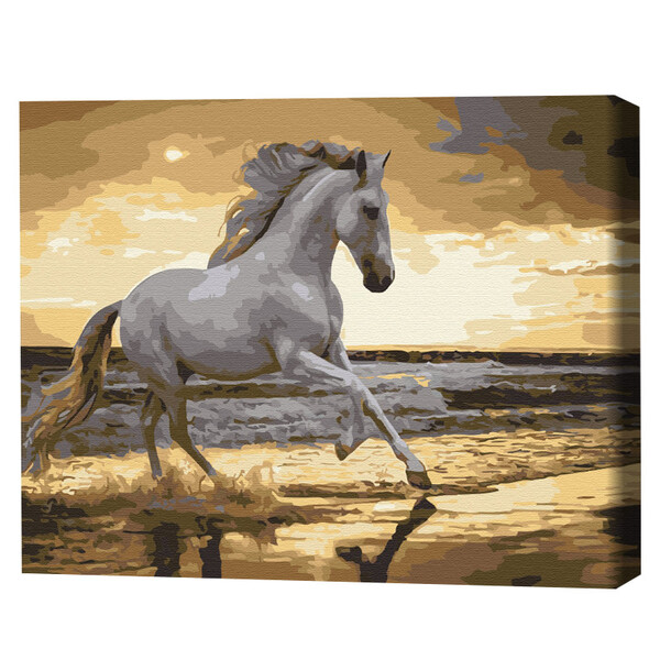 Cumpara  Creativitate/Logică - Pictură pe numere 40*50 cm (în cutie) – Trapâ..