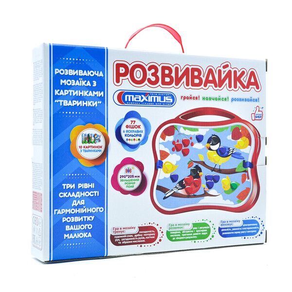 Set de joc cu mozaică „Razvivaika” 77 elem.