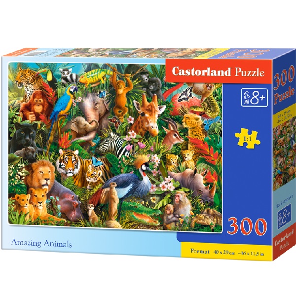 Puzzle 300 elemente