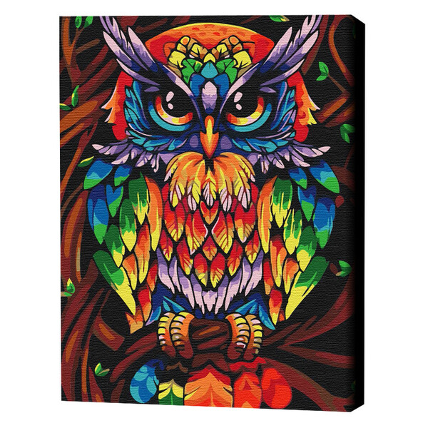 Pictură pe numere 40*50 cm (în cutie) – Bufnița înțeleaptă în culori de curcubeu
