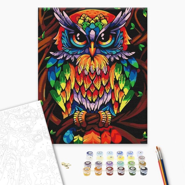 Pictură pe numere 40*50 cm (în cutie) – Bufnița înțeleaptă în culori de curcubeu