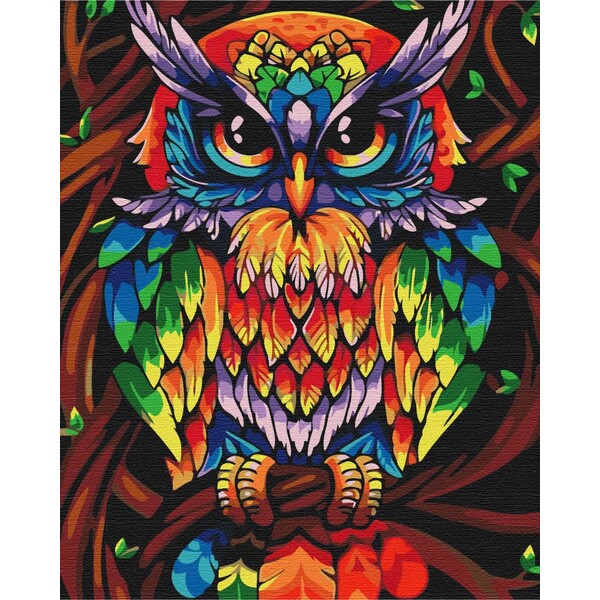 Pictură pe numere 40*50 cm (în cutie) – Bufnița înțeleaptă în culori de curcubeu