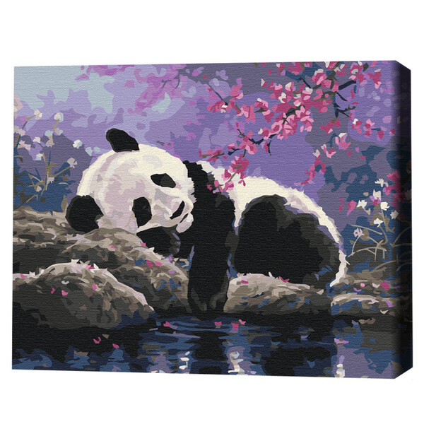 Cumpara  Creativitate/Logică - Pictură pe numere 40x50 cm (în cutie) - Somnu..