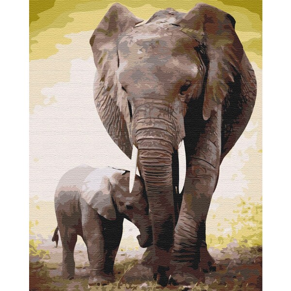 Pictură pe numere 40*50 cm (în cutie) – Primele zile ale puiului de elefant