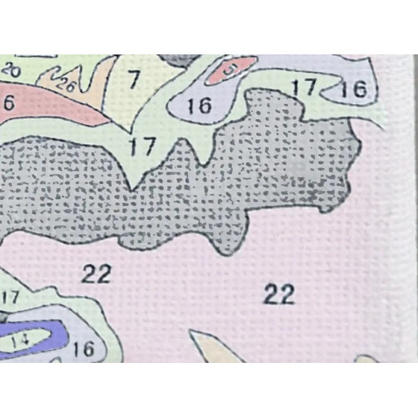 Pictură pe numere 40*50 сm (fără cutie) – Fată în bujori înfloriți