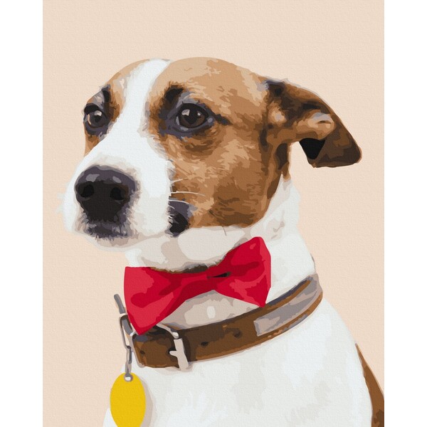 Pictură pe numere 40*50 сm (fără cutie) – Câine campion