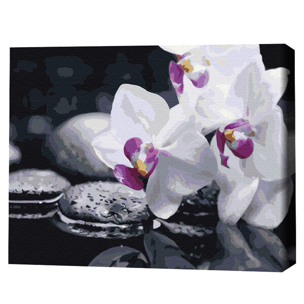 Cumpara  Creativitate/Logică - Pictură pe numere 40*50 сm (în cutie)  – Flor..