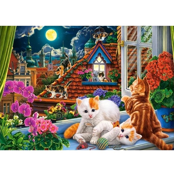 Puzzle 180 elemente
