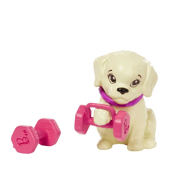 Set Barbie “Zi dedicată sportului”