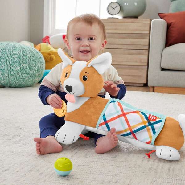 Fisher-Price Jucărie educațională de pluș 3 în 1 „Cațelușul”