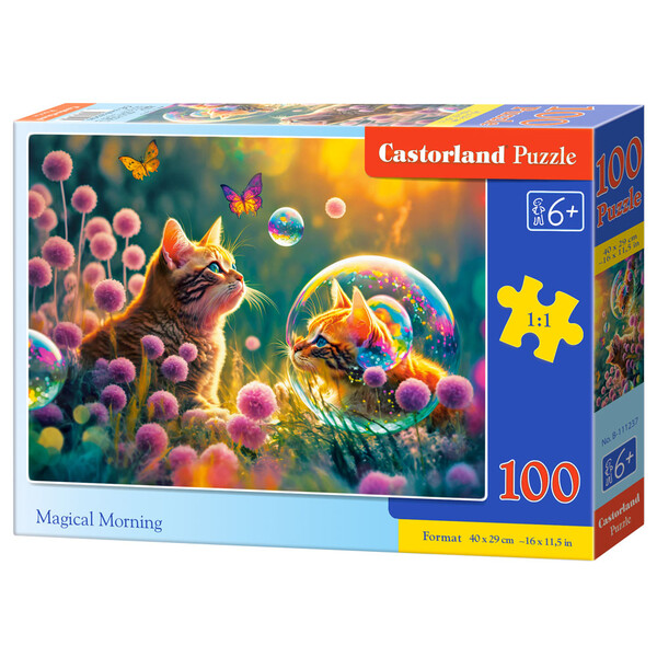 Puzzle 100 elemente