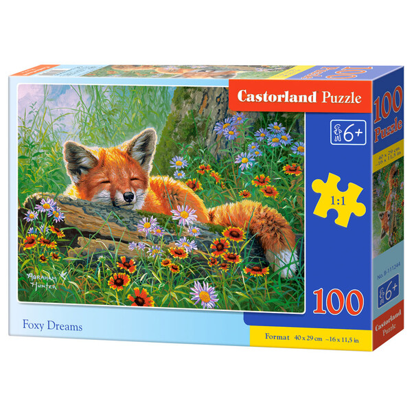 Puzzle 100 elemente