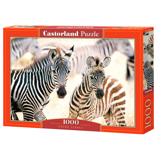 Puzzle 1000 elemente